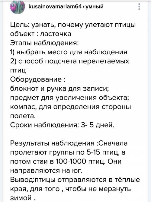 Наблюдение: почему улетают птицы? цель, объект, этапы наблюдения, оборудование, сроки наблюдения,