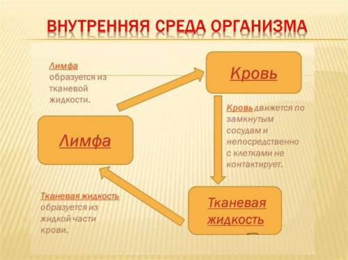 Обьясните почему три основные жидкие среды организма связаны междуисабой