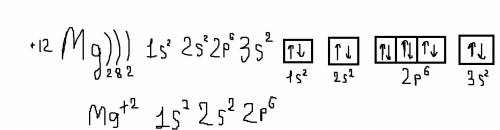 Покажите строение атома и иона магния. !