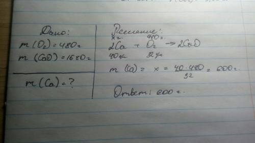 Вычисли массу кальция, прореагировавшего с 480 г кислорода, если в результате реакции образовалось 1