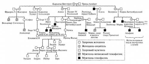 Составить схему наследования гемофилии в царских семьях европы, начиная с королевы виктории.