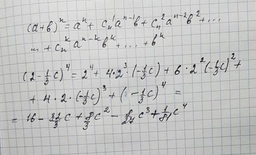 Решить (2-1/3с)^4. по формуле бинома н