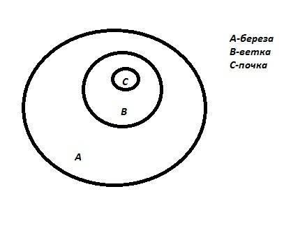 Изобразите связи между понятиями на кругах эйлера (берёза, ветка, почка)