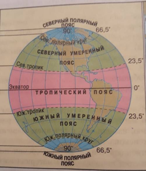 Какие пояса освещенности выделяют на земной поверхности