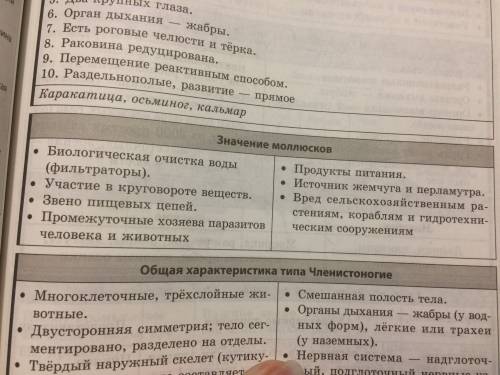 Сбиологией класс брюхоногие двухстворчатые головоногие признаки место обитания симметрия тела части