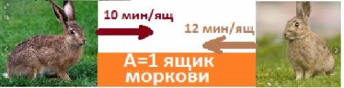 Заец может сьесть всю морковь с ящика за 10 минут, а кролик за 12 минут. сколько минут понядобится ,