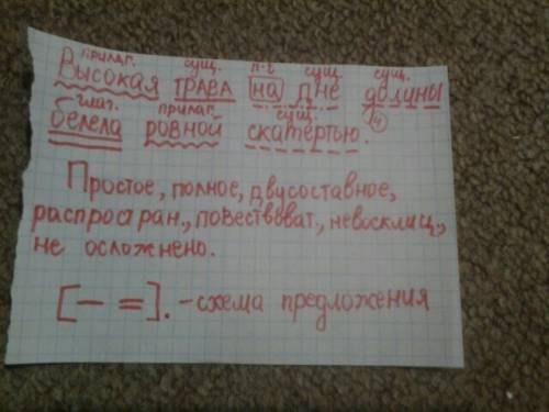 Сделать синтаксический разбор предложения: высокая трава на дне долины белела ровной скатертью