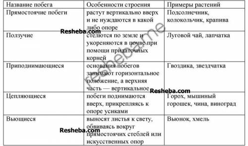 Тип побега: прямостоячий, лежачий, ползучий, вьющийся, цепляющийся, лазающий. его стрение, !