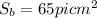 S_b=65pi cm^2