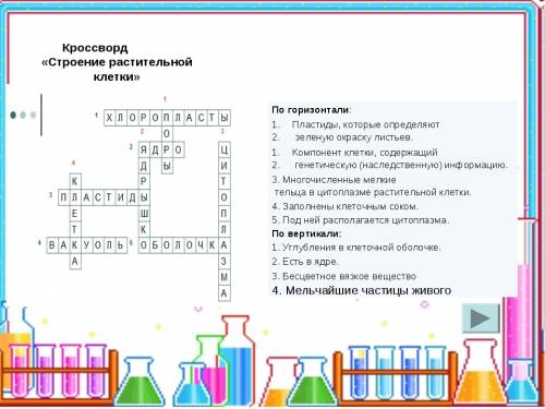 Составьте крассворд строение квантовой и растительной клетки