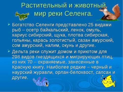 План описания реки селенги 1.название 2.где находится исток реки 3.какое течение быстрое или медленн