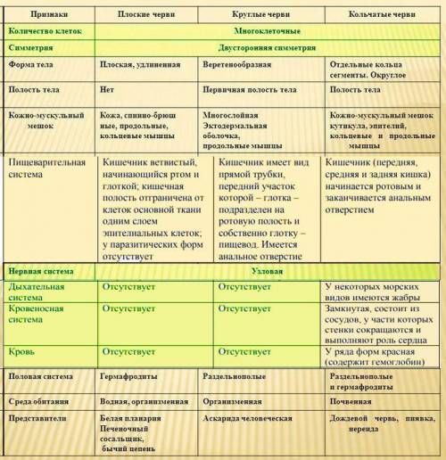 Напишите различия и сходства плоских,круглых и кольчатых червей