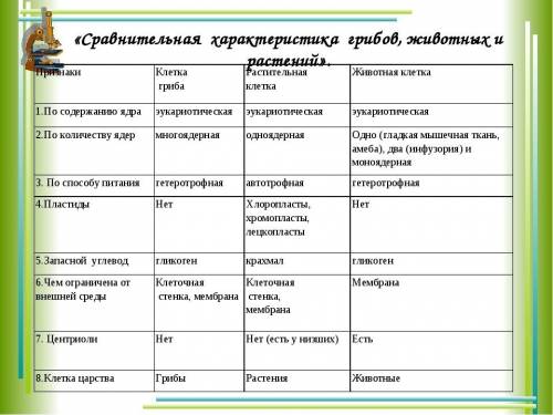 Составить сравнительную характеристику грибов и бактерий