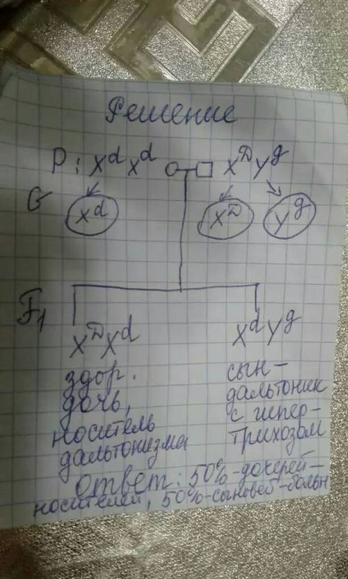 Женщина дальтоник вышла замуж за мужчину с волосатыми ушами (гипертрихоз). какие дети могут родиться