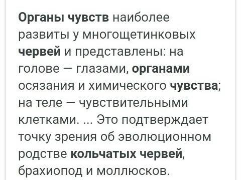 Органы чувств у кольчатых червей 25 заранее говорю