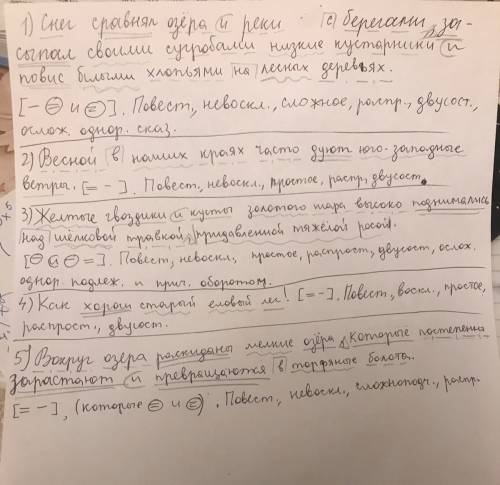 Синтаксический разбор записать предложение. дать ему характеристику. каждый член предложения подчерк