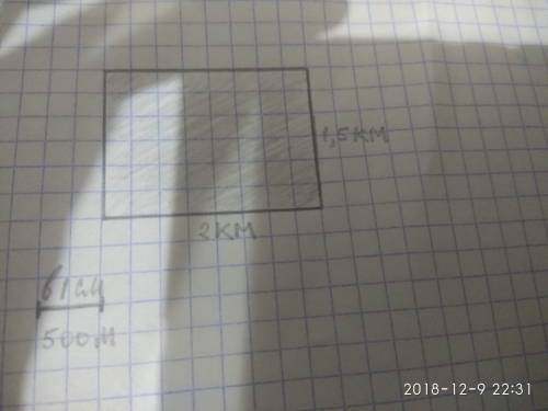 Начертите участок смешанного леса ( в масштабе : 1см-500м),если его длинна 2 км ,а ширина 1,5 км.