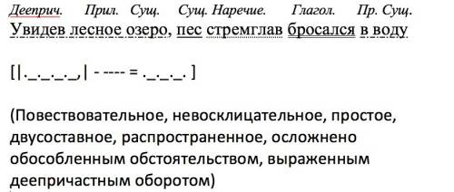 Выполните синтаксический разбор предложения : увидев лесное озеро пес стремглав бросался в воду