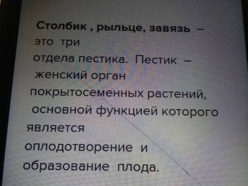 Какую функцию выполняет столбик пестика, рыльце пестика и завязь пестика?