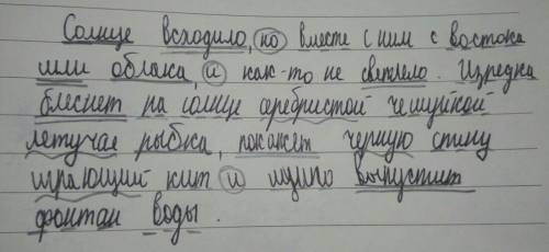 Прочитайте определите грамматические основы и начертите схемы предложения : солнце всходило,но вмест