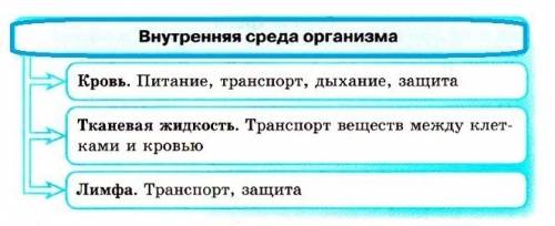 Умоляю, ! : внутренняя среда организма краткий схематический конспект