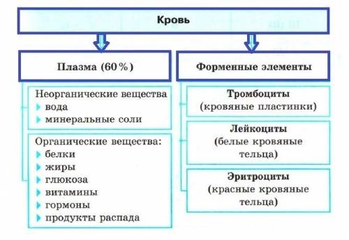 Умоляю, ! : внутренняя среда организма краткий схематический конспект