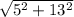 \sqrt{5^{2} + 13^{2} }