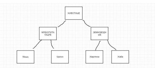 Из представленного перечня терминов и понятий составьте схему животные, пантера, млекопитающие, жаба