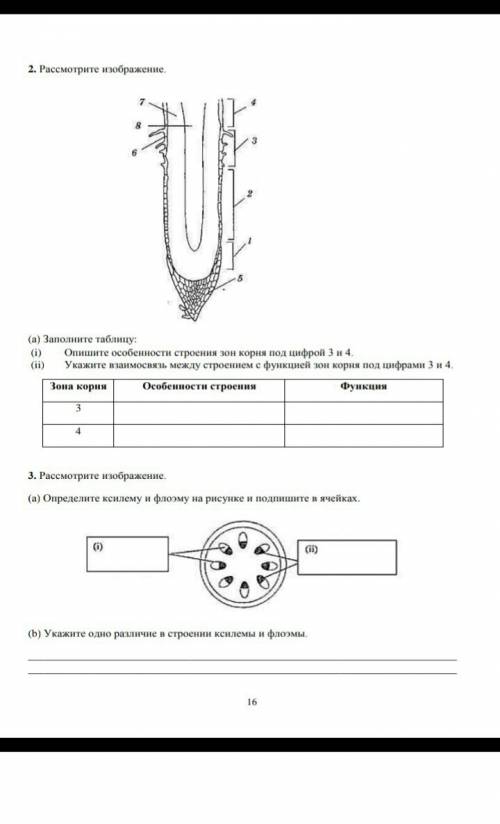 Сор за раздел транспорт веществ по предмету биология 7 класс