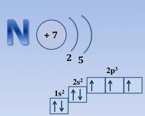 Электронно графическая схема атома азота