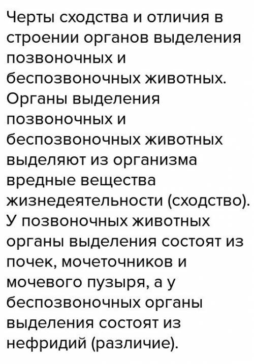 Обсудите сходство и различия выделительных систем позвоночных и без позвоночных животных!