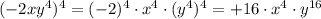 (-2xy^4)^4=(-2)^4\cdot x^4\cdot (y^4)^4=+16\cdot x^4\cdot y^{16}