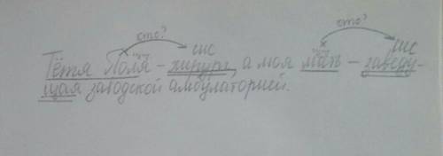 Тётя поля-хирург,а моя мать -заведующая заводской амбулаторией.графически объяснить постановку тире​