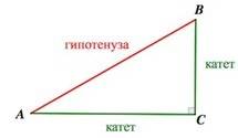 Впрямоугольном треугольнике авс угол с=90градусов, синус угла а=21/29, а сторона ас=40см. найдите ст