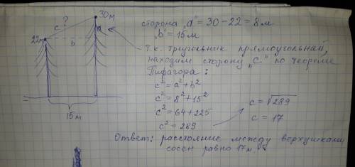 Две сосны растут на растоянии 15 м одна от другой. высота одной сосны 30м,а другой 22м. найдите расс