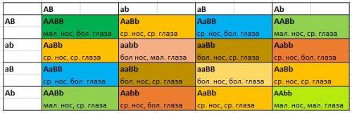 Определите соотношение фенотипов у потомков при дигибридном скрещивании 2 гетерозиготных организмов