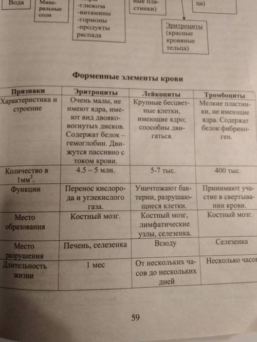 Лабораторная работа по биологии: 1 - изучить особенности строения и функции происхождения эритроцито