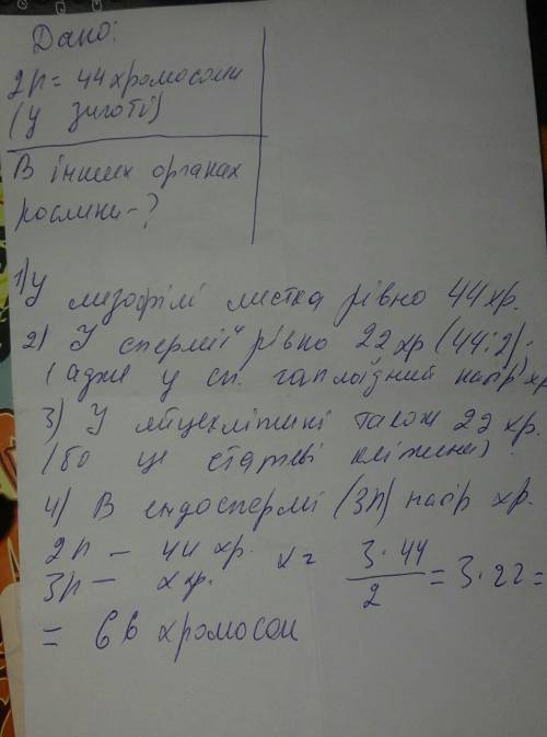 Хвойна рослина має у зиготі 44 хромосоми. визначте число, яке є сумою чисел хромосом клітини мезофіл