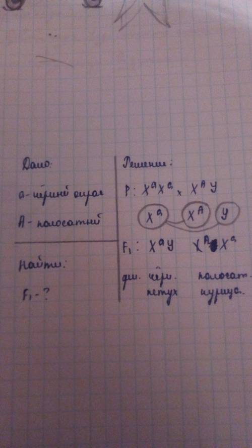 Укур рецессивный ген чёрной окраски сцеплен с х-хромосомой. определите фенотипы потомства, которое м