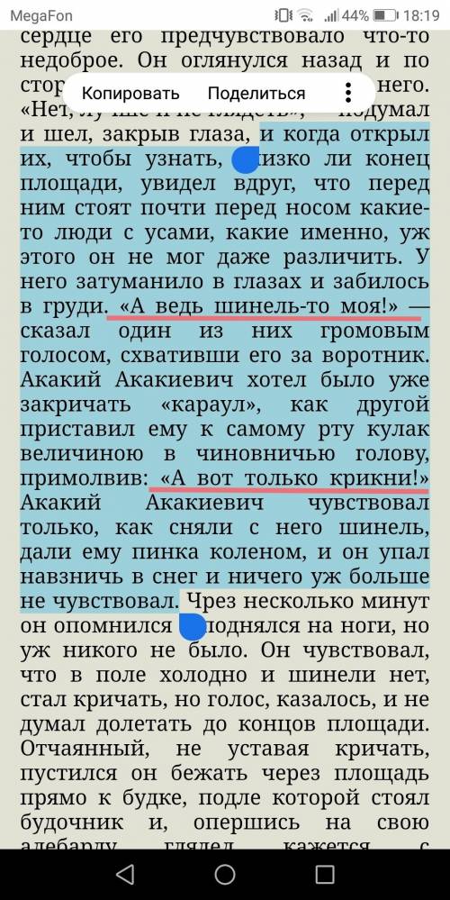 Гоголь шинель: что cказал грабитель акакию акакиевичу, когда снимал с него шинель?