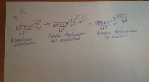 Электронно-графическая формула атомов fe возбужденном состоянии