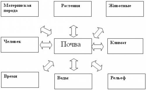 Составь цепочку образование почвы горные породы>