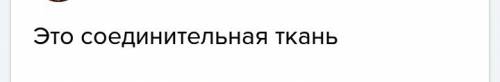 Ккакому типу ткани относится костная ткань?