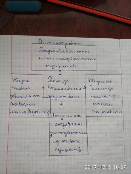 Составить денотатный граф на тему гипотезы возникновения жизни на земле.​