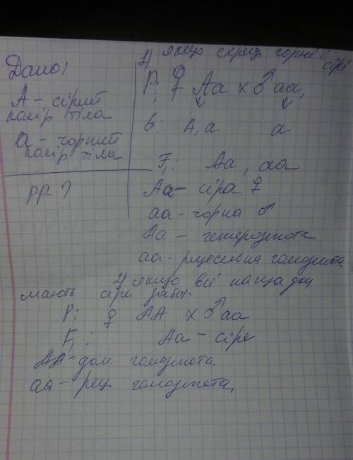 Удрозофіли сірий колір тіла домінує над чорним. схрещуються сірі та чорні особини. які генотипи бать