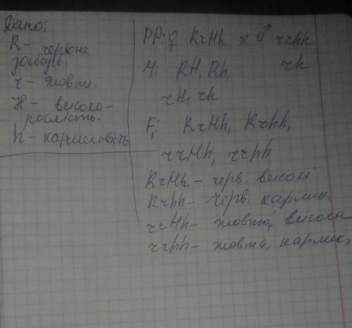 Розв'яжіть генетичну . у томатів ген r визначає забарвлення плодів. домінантний алель r забезпечує ч