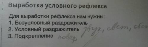 Как происходит выработка условных рефлексов