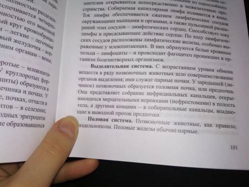 Доклад на тему пищеварительная и выделительная система