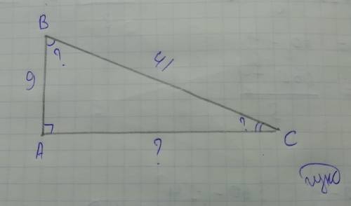Один из катетов прямоугольного треугольника равен 9 см, а гипотенуза 41 см. найдите другой катет и н