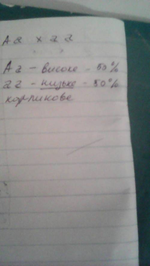 Упахучого горошку високий зріст домінує над карликовим. яким буде потомство від схрещування гетерози